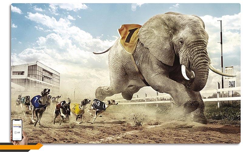 اپلیکیشن اینوما AR